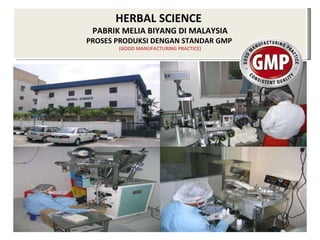 HERBAL SCIENCE  PABRIK MELIA BIYANG DI MALAYSIA PROSES PRODUKSI DENGAN STANDAR GMP  (GOOD MANUFACTURING PRACTICE) 