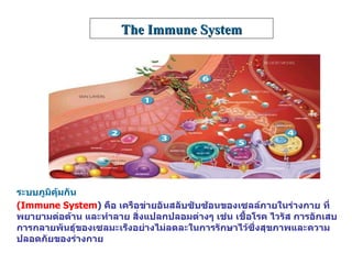 ระบบภูมิคุ้มกัน   ( Immune System )  คือ เครือข่ายอันสลับซับซ้อนของเซลล์ภายในร่างกาย ที่พยายามต่อต้าน และทำลาย สิ่งแปลกปลอมต่างๆ เช่น เชื้อโรค ไวรัส การอักเสบ การกลายพันธุ์ของเซลมะเร็งอย่างไม่ลดละในการรักษาไว้ซึ่งสุขภาพและความปลอดภัยของร่างกาย  The Immune System 