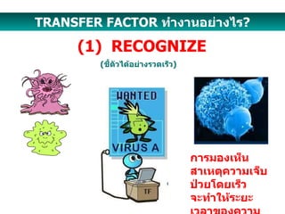 ( ชี้ตัวได้อย่างรวดเร็ว ) TRANSFER FACTOR  ทำงานอย่างไร ? (1)  RECOGNIZE การมองเห็นสาเหตุความเจ็บป่วยโดยเร็ว จะทำให้ระยะเวลาของความเจ็บป่วยสั้นลง 