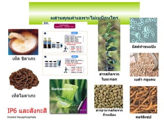 ผสานคุณค่าเฉพาะไม่เหมือนใคร คอร์ดิเซป IP6  และสังกะสี Barbadensis  Inositol Hexaphosphate เห็ด ชิตาเกะ เห็ดไมตาเกะ ยีสต์ทำขนมปัง เบต้า กลูแคน สารอาหารสกัดจาก ถั่วเหลือง สารสกัดจาก ใบมะกอก 