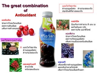 แอนโทไซยานิน ต้านอนุมูลอิสระ  ต้านก่อเซลมะเร็ง ปลุกยีนส์ที่ฆ่าเซลมะเร็ง The great combination   of Antioxidant แอปเปิล ป้องกันการทำลาย ดี เอน เอ   ลดไขมันเลว  LDL ลดการเกิด ออกซิไดซ์ มี  แอนโทไซยานิน   ต้านอนุมูลอิสระ ต้านก่อเซลมะเร็ง ผลไม้ตระกูลปาล์ม บลูเบอรี   เพิ่มฤทธิ์การต้านอนุมูลอิสระ ลดระดับน้ำตาลให้ปกติ เพิ่มการไหลเวียนเลือดที่จอตา เอลเดอร์เบอรี   ต้านไวรัส ผนังเซลแข็งแรง องุ่นสีม่วง   ช่วยการไหลเวียนเลือด ลดการเกิดอนุมูลอิสระ เพิ่มความแข็งแรงผนังเส้นเลือด ผลทับทิม ช่วยการไหลเวียนเลือด   ลดความดันเลือด เสริมการสร้างคอลลาเจน 