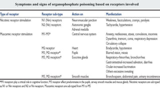 Symptoms and signs of organophosphate poisoning based on receptors involved
 