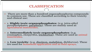 Classification
 