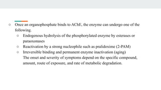 ○ Once an organophosphate binds to AChE, the enzyme can undergo one of the
following.
○ Endogenous hydrolysis of the phosphorylated enzyme by esterases or
paraoxonases
○ Reactivation by a strong nucleophile such as pralidoxime (2-PAM)
○ Irreversible binding and permanent enzyme inactivation (aging)
The onset and severity of symptoms depend on the specific compound,
amount, route of exposure, and rate of metabolic degradation.
 