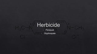 Herbicide
• Paraquat
• Glyphospate
 
