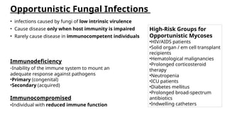 Comprehensive Overview of Opportunistic Fungal Infections in ...