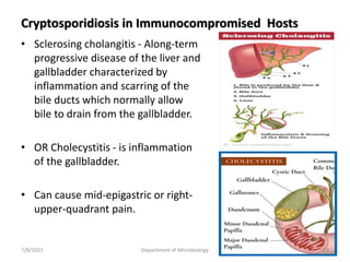 • Sclerosing cholangitis - Along-term
progressive disease of the liver and
gallbladder characterized by
inflammation and scarring of the
bile ducts which normally allow
bile to drain from the gallbladder.
• OR Cholecystitis - is inflammation
of the gallbladder.
• Can cause mid-epigastric or right-
upper-quadrant pain.
Cryptosporidiosis in Immunocompromised Hosts
7/8/2021 Department of Microbiology 23
 