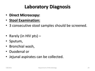 Laboratory Diagnosis
• Direct Microscopy:
• Stool Examination:
• 3 consecutive stool samples should be screened.
• Rarely (in HIV pts) –
• Sputum,
• Bronchial wash,
• Duodenal or
• Jejunal aspirates can be collected.
7/8/2021 Department of Microbiology 24
 