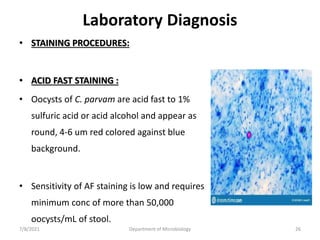 Laboratory Diagnosis
• STAINING PROCEDURES:
• ACID FAST STAINING :
• Oocysts of C. parvam are acid fast to 1%
sulfuric acid or acid alcohol and appear as
round, 4-6 um red colored against blue
background.
• Sensitivity of AF staining is low and requires
minimum conc of more than 50,000
oocysts/mL of stool.
7/8/2021 Department of Microbiology 26
 