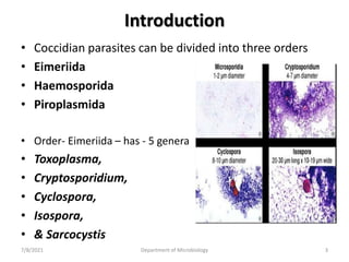 Introduction
• Coccidian parasites can be divided into three orders
• Eimeriida
• Haemosporida
• Piroplasmida
• Order- Eimeriida – has - 5 genera
• Toxoplasma,
• Cryptosporidium,
• Cyclospora,
• Isospora,
• & Sarcocystis
7/8/2021 Department of Microbiology 3
 