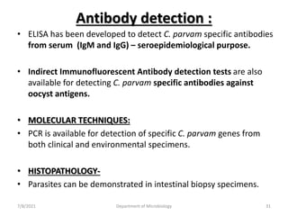 Antibody detection :
• ELISA has been developed to detect C. parvam specific antibodies
from serum (IgM and IgG) – seroepidemiological purpose.
• Indirect Immunofluorescent Antibody detection tests are also
available for detecting C. parvam specific antibodies against
oocyst antigens.
• MOLECULAR TECHNIQUES:
• PCR is available for detection of specific C. parvam genes from
both clinical and environmental specimens.
• HISTOPATHOLOGY-
• Parasites can be demonstrated in intestinal biopsy specimens.
7/8/2021 Department of Microbiology 31
 