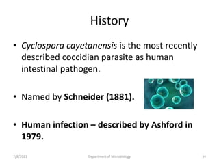 History
• Cyclospora cayetanensis is the most recently
described coccidian parasite as human
intestinal pathogen.
• Named by Schneider (1881).
• Human infection – described by Ashford in
1979.
7/8/2021 Department of Microbiology 34
 