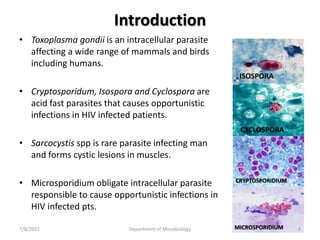 Introduction
• Toxoplasma gondii is an intracellular parasite
affecting a wide range of mammals and birds
including humans.
• Cryptosporidum, Isospora and Cyclospora are
acid fast parasites that causes opportunistic
infections in HIV infected patients.
• Sarcocystis spp is rare parasite infecting man
and forms cystic lesions in muscles.
• Microsporidium obligate intracellular parasite
responsible to cause opportunistic infections in
HIV infected pts.
ISOSPORA
CYCLOSPORA
CRYPTOSPORIDIUM
MICROSPORIDIUM
7/8/2021 Department of Microbiology 4
 