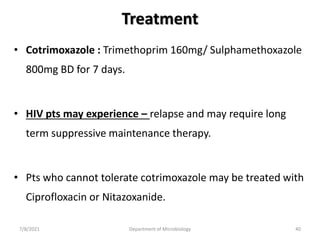 Treatment
• Cotrimoxazole : Trimethoprim 160mg/ Sulphamethoxazole
800mg BD for 7 days.
• HIV pts may experience – relapse and may require long
term suppressive maintenance therapy.
• Pts who cannot tolerate cotrimoxazole may be treated with
Ciprofloxacin or Nitazoxanide.
7/8/2021 Department of Microbiology 40
 
