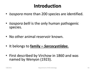 Introduction
• Isospora more than 200 species are identified.
• Isospora belli is the only human pathogenic
species.
• No other animal reservoir known.
• It belongs to family – Sarcocystiidae.
• First described by Virchow in 1860 and was
named by Wenyon (1923).
7/8/2021 Department of Microbiology 42
 