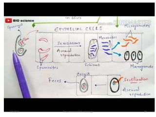 7/8/2021 Department of Microbiology 48
 