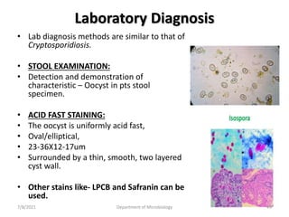 Laboratory Diagnosis
• Lab diagnosis methods are similar to that of
Cryptosporidiosis.
• STOOL EXAMINATION:
• Detection and demonstration of
characteristic – Oocyst in pts stool
specimen.
• ACID FAST STAINING:
• The oocyst is uniformly acid fast,
• Oval/elliptical,
• 23-36X12-17um
• Surrounded by a thin, smooth, two layered
cyst wall.
• Other stains like- LPCB and Safranin can be
used.
7/8/2021 Department of Microbiology 49
 