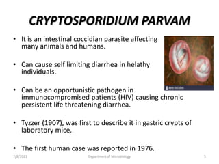 CRYPTOSPORIDIUM PARVAM
• It is an intestinal coccidian parasite affecting
many animals and humans.
• Can cause self limiting diarrhea in helathy
individuals.
• Can be an opportunistic pathogen in
immunocompromised patients (HIV) causing chronic
persistent life threatening diarrhea.
• Tyzzer (1907), was first to describe it in gastric crypts of
laboratory mice.
• The first human case was reported in 1976.
7/8/2021 Department of Microbiology 5
 