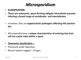 Microsporidium
• CLASSIFICATION:
• These are eukaryotic, spore forming obligate intracellular parasite
infecting a broad range of vertebrates and invertebrates.
• In human, they are opportunistic pathogens affecting HIV positive
pts.
• Microsporidia have a unique characteristics of entering into host
cell via a polar tube within a spore.
• Taxonomic classification –
• Previously under Sporozoa.
• Recent reports suggest – Fungus.
7/8/2021 Department of Microbiology 53
 