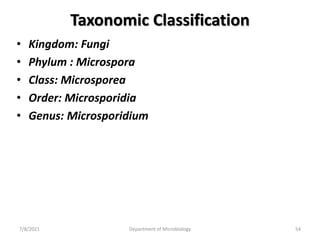 Taxonomic Classification
• Kingdom: Fungi
• Phylum : Microspora
• Class: Microsporea
• Order: Microsporidia
• Genus: Microsporidium
7/8/2021 Department of Microbiology 54
 
