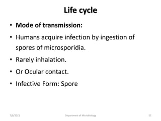 Life cycle
• Mode of transmission:
• Humans acquire infection by ingestion of
spores of microsporidia.
• Rarely inhalation.
• Or Ocular contact.
• Infective Form: Spore
7/8/2021 Department of Microbiology 57
 