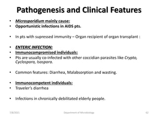 Pathogenesis and Clinical Features
• Microsporidium mainly cause:
• Opportunistic infections in AIDS pts.
• In pts with supressed immunity – Organ recipient of organ transplant :
• ENTERIC INFECTION:
• Immunocompromised individuals:
• Pts are usually co-infected with other coccidian parasites like Crypto,
Cyclospora, Isospora.
• Common features: Diarrhea, Malabsorption and wasting.
• Immunocompetent individuals:
• Traveler’s diarrhea
• Infections in chronically debilitated elderly people.
7/8/2021 Department of Microbiology 62
 