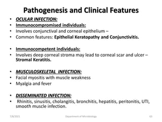 Pathogenesis and Clinical Features
• OCULAR INFECTION:
• Immunocompromised individuals:
• Involves conjunctival and corneal epithelium –
• Common features: Epithelial Keratopathy and Conjunctivitis.
• Immunocompetent individuals:
• Involves deep corneal stroma may lead to corneal scar and ulcer –
Stromal Keratitis.
• MUSCULOSKELETAL INFECTION:
• Facial myositis with muscle weakness
• Myalgia and fever
• DISSEMINATED INFECTION:
• Rhinitis, sinusitis, cholangitis, bronchitis, hepatitis, peritonitis, UTI,
smooth muscle infection.
7/8/2021 Department of Microbiology 63
 