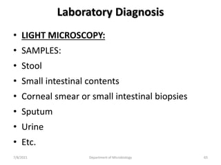 Laboratory Diagnosis
• LIGHT MICROSCOPY:
• SAMPLES:
• Stool
• Small intestinal contents
• Corneal smear or small intestinal biopsies
• Sputum
• Urine
• Etc.
7/8/2021 Department of Microbiology 65
 