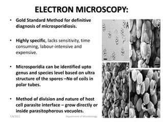 ELECTRON MICROSCOPY:
• Gold Standard Method for definitive
diagnosis of microsporidiosis.
• Highly specific, lacks sensitivity, time
consuming, labour-intensive and
expensive.
• Microsporidia can be identified upto
genus and species level based on ultra
structure of the spores –No of coils in
polar tubes.
• Method of division and nature of host
cell parasite interface – grow directly or
inside parasitophorous vocuoles.
7/8/2021 Department of Microbiology 68
 