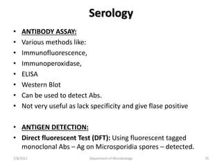 Serology
• ANTIBODY ASSAY:
• Various methods like:
• Immunofluorescence,
• Immunoperoxidase,
• ELISA
• Western Blot
• Can be used to detect Abs.
• Not very useful as lack specificity and give flase positive
• ANTIGEN DETECTION:
• Direct fluorescent Test (DFT): Using fluorescent tagged
monoclonal Abs – Ag on Microsporidia spores – detected.
7/8/2021 Department of Microbiology 70
 