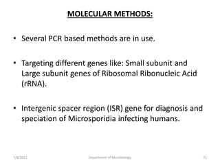 MOLECULAR METHODS:
• Several PCR based methods are in use.
• Targeting different genes like: Small subunit and
Large subunit genes of Ribosomal Ribonucleic Acid
(rRNA).
• Intergenic spacer region (ISR) gene for diagnosis and
speciation of Microsporidia infecting humans.
7/8/2021 Department of Microbiology 71
 