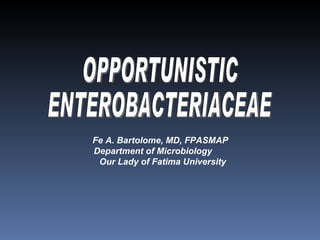 OPPORTUNISTIC ENTEROBACTERIACEAE Fe A. Bartolome, MD, FPASMAP  Department of Microbiology  Our Lady of Fatima University 