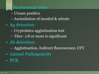 Opportunistic fungal infection | PPTX