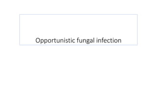 Opportunistic fungal infection
 