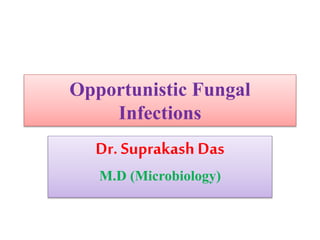 Opportunistic Fungal
Infections
Dr. Suprakash Das
M.D (Microbiology)
 