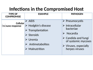 Compromised Host Opportunistic infections including bacteria, viruses and fungi | PPTX