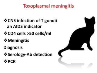 Toxoplasmal meningitis

CNS infection of T gondii is
 an AIDS indicator
CD4 cells >50 cells/ml
Meningitis
Diagnosis
Serology-Ab detection
PCR
 