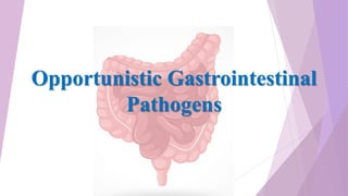 Opportunistic Gastrointestinal
Pathogens
 
