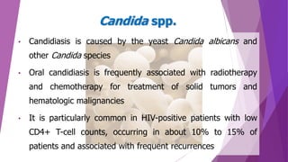 • Candidiasis is caused by the yeast Candida albicans and
other Candida species
• Oral candidiasis is frequently associated with radiotherapy
and chemotherapy for treatment of solid tumors and
hematologic malignancies
• It is particularly common in HIV-positive patients with low
CD4+ T-cell counts, occurring in about 10% to 15% of
patients and associated with frequent recurrences
Candida spp.
 
