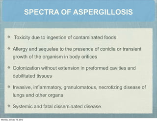 SPECTRA OF ASPERGILLOSIS
Toxicity due to ingestion of contaminated foods
Allergy and sequelae to the presence of conidia or transient
growth of the organism in body oriﬁces
Colonization without extension in preformed cavities and
debilitated tissues
Invasive, inﬂammatory, granulomatous, necrotizing disease of
lungs and other organs
Systemic and fatal disseminated disease
Monday, January 16, 2012
 