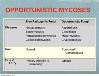 OPPORTUNISTIC MYCOSES
True Pathogenic Fungi Opportunistic Fungi
Diseases Histoplasmosis
Blastomycosis
Paracoccidioidomycosis
Coccidioidomycosis
Aspergillosis
Candidiasis
Mucormycosis
Cryptococcosis
Host Normal Abrogated/
Compromised
Portal of
Entry
Primary infection is
pulmonary
Various
Monday, January 16, 2012
 