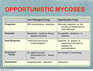 OPPORTUNISTIC MYCOSES
True Pathogenic Fungi Opportunistic Fungi
Prognosis 99% spontaneous resolution Recovery depends on the
severity of impairment of
host defenses
Immunity Resolution results to strong
speciﬁc immunity
No speciﬁc resistance
infection
to
Host Response Tuberculoid granuloma,
mixed pyogenic
Depends on degree of
impairment necrosis to
pyogenic to
granulomatous
Morphology in
Tissue
All agents showed
dimorphism to a
form
tissue
No change in morphology
Distribution Geographically restricted Ubiquitous
Monday, January 16, 2012
 