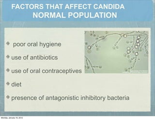 FACTORS THAT AFFECT CANDIDA
NORMAL POPULATION
poor oral hygiene
use of antibiotics
use of oral contraceptives
diet
presence of antagonistic inhibitory bacteria
Monday, January 16, 2012
 