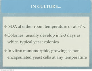 IN CULTURE...



              SDA at either room temperature or at 37°C

            Colonies: usually develop in 2-3 days as
            white, typical yeast colonies

            In vitro: monomorphic, growing as non
            encapsulated yeast cells at any temperature

Monday, January 16, 2012
 