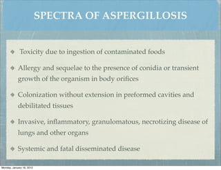 SPECTRA OF ASPERGILLOSIS


             Toxicity due to ingestion of contaminated foods

            Allergy and sequelae to the presence of conidia or transient
            growth of the organism in body oriﬁces

            Colonization without extension in preformed cavities and
            debilitated tissues

            Invasive, inﬂammatory, granulomatous, necrotizing disease of
            lungs and other organs

            Systemic and fatal disseminated disease

Monday, January 16, 2012
 