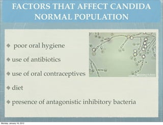 FACTORS THAT AFFECT CANDIDA
               NORMAL POPULATION


            poor oral hygiene

           use of antibiotics

           use of oral contraceptives

           diet

           presence of antagonistic inhibitory bacteria


Monday, January 16, 2012
 