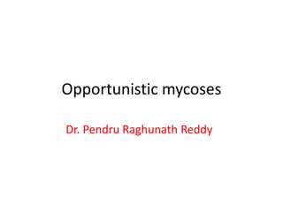 Opportunistic mycoses
Dr. Pendru Raghunath Reddy

 