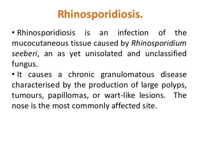 Opportunistic mycoses rhinosporidiosis