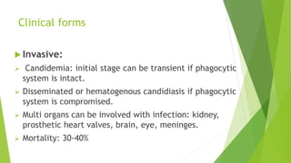 Clinical forms
 Invasive:
 Candidemia: initial stage can be transient if phagocytic
system is intact.
 Disseminated or hematogenous candidiasis if phagocytic
system is compromised.
 Multi organs can be involved with infection: kidney,
prosthetic heart valves, brain, eye, meninges.
 Mortality: 30-40%
 