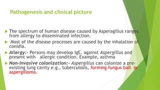 Pathogenesis and clinical picture
 The spectrum of human disease caused by Asperagillus ranges
from allergy to disseminated infection.
 Most of the disease processes are caused by the inhalation of
conidia.
 Allergy:- Persons may develop IgE. against Aspergillus and
present with allergic condition. Example, asthma
 Non-invasive colonization:- Aspergillus can colonize a pre-
existing lung cavity e.g., tuberculosis, forming fungus ball or
aspergilloma.
 